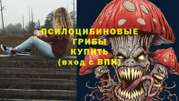 мет Алзамай