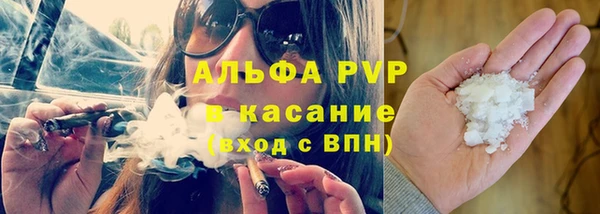 прущие грибы Пересвет