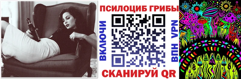 blacksprut ONION  наркошоп  Кизел  Галлюциногенные грибы Psilocybe 